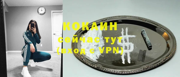 крисы Богородицк