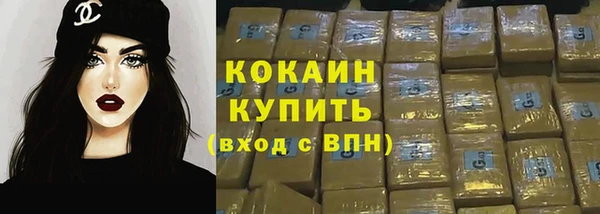 крисы Богородицк