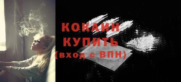 крисы Богородицк