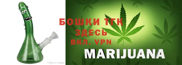 крисы Богородицк