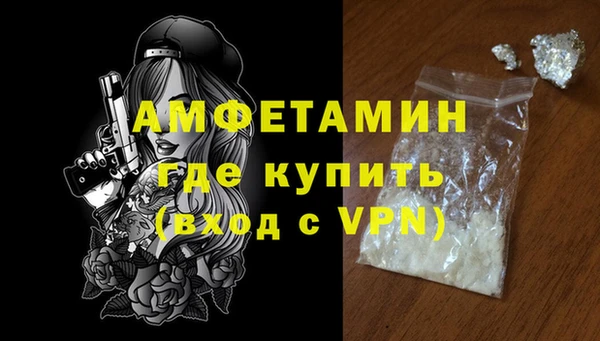 крисы Богородицк