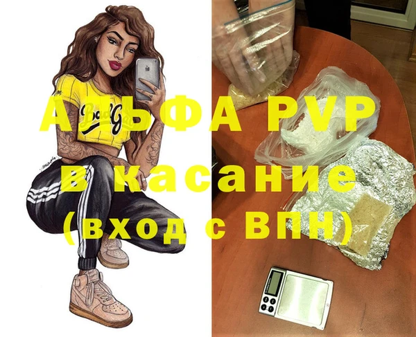 крисы Богородицк