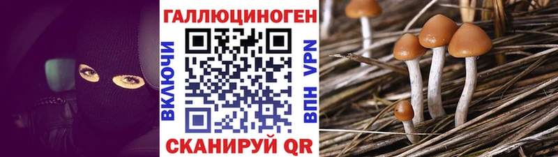 Псилоцибиновые грибы MAGIC MUSHROOMS  Берёзовка 